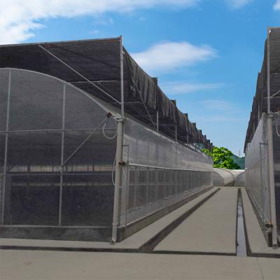 China Multi-Span Agricultural Polycarbonate Sheet Greenhouse For Departs Tropical Greenhouse for sale