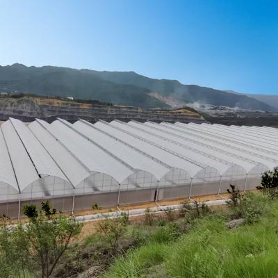 China Multi Span Agricultural / Commercial Hydrophonic Greenhouse Easily Installed for sale