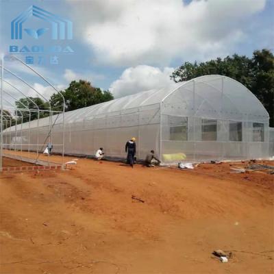 China agriculture Plants Round Tunnel Single-span Side Ventilation Tunnel Plastic Greenhouse for sale
