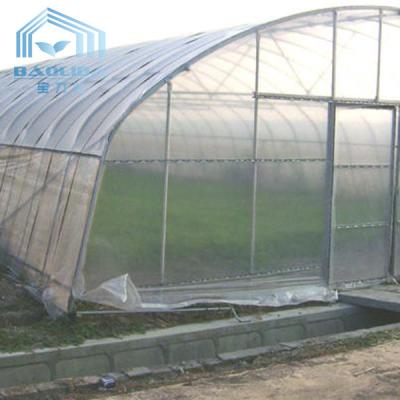 China Hydroponic System Tunnel Plastic Greenhouse with Ventilation Insect Net for sale