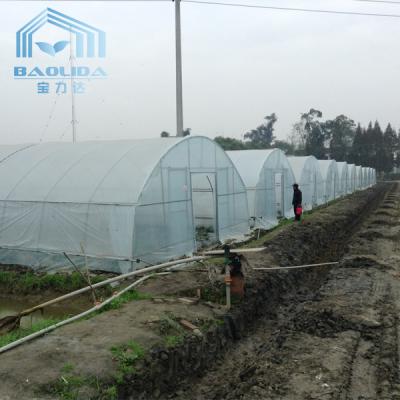 China High Tunnel Steel Frame Galvanized Pipe Greenhouse For Plant Growing for sale