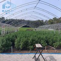 China Double Arch Side Ventilation Single Span Greenhouse For Agriculture Strawberry Growing for sale