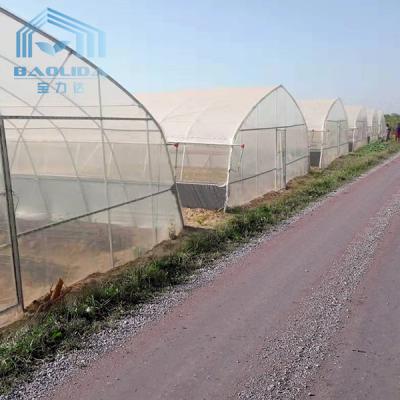 China Tropical Gothic High Tunnel Plastic Film Greenhouse For Vegetables Planting for sale