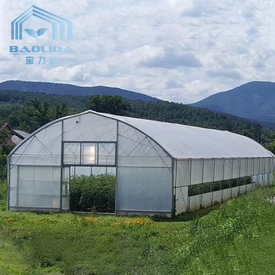 China Top Ventilation Window Vegetable Hoop Green House Single Span Greenhouse Film Hoops for sale