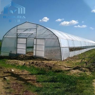 China Invernadero plástico del túnel de la ventilación del tejado con el sistema de enfriamiento en venta