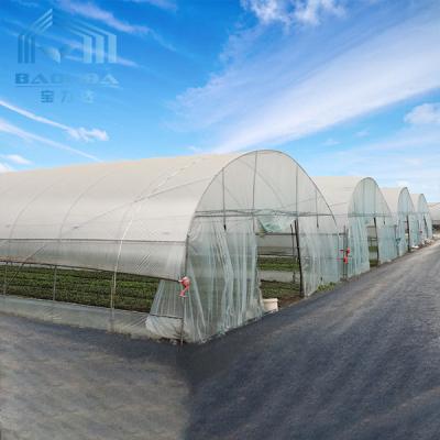 China Steel Pipe Dome Metal Hoop Greenhouse Galvanized Prefabricated Single Tunnel Plastic Greenhouse for sale