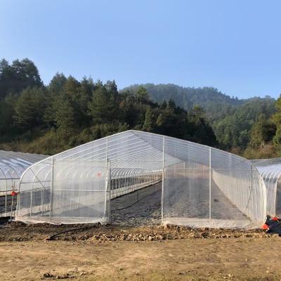 China Túnel plástico del invernadero del invernadero bajo transparente del túnel de la prenda impermeable solo en venta