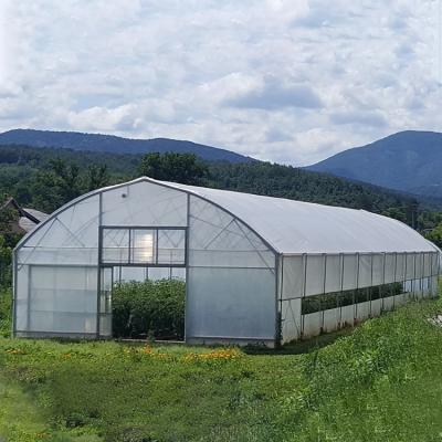 China Agriculture High Tunnel Film Roller Clear Greenhouse Cover Plastic Film Single Tunnel Greenhouse for sale