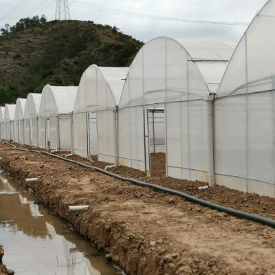 China Poly Film Arch Tunnel Agriculture Vegetable Plastic Film Greenhouse Commercial for sale