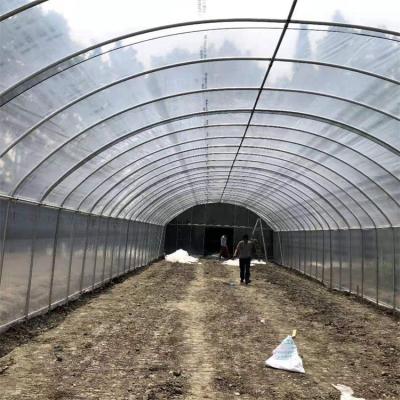 China Single Span Plastic Tunnel Greenhouse Strawberry Hydroponic Growing System for sale