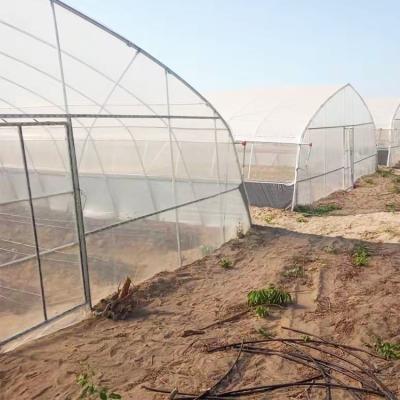 China Plastic Film Covering Shed Agricultural 8M Single Span High Tunnel Greenhouse for sale