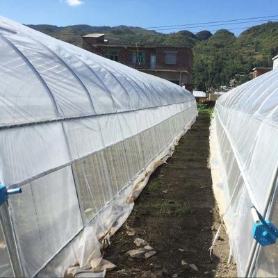 China Small Pvc Material Plastic Film Greenhouse Industrial Hydroponic for sale