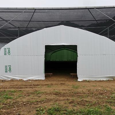 China Off Season Tunnel Plastic Film Greenhouse Mushroom Greenhouse for sale