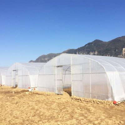 China Agriculture Plastic Film Covered Single Tunnel Greenhouse For Tropical Climate for sale