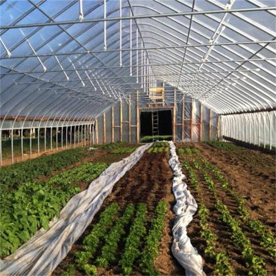 China 300 Square Meter Tunnel Plastic White Single Span Greenhouse For Strawberry Growing for sale