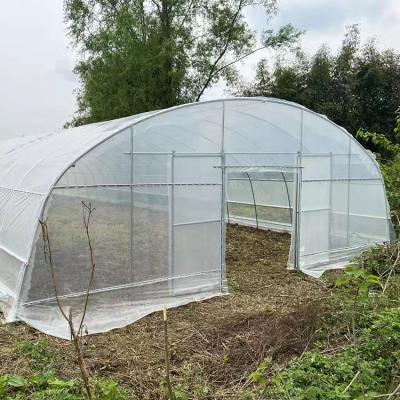 China Strawberry Growing Side Ventilation Single Span Greenhouse For Agriculture for sale