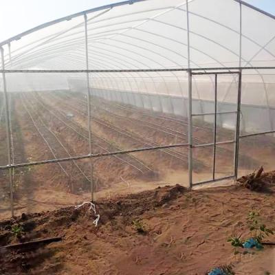 China Single Span Plastic Tunnel Greenhouse Commercial Agricultural for sale