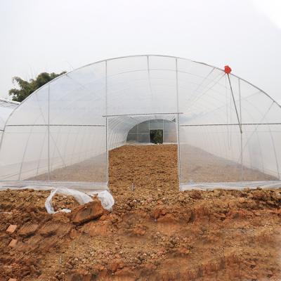 China Anti Aging Film Micron Anti Uv Plastic Greenhouse Agriculture Vegetables Planting for sale