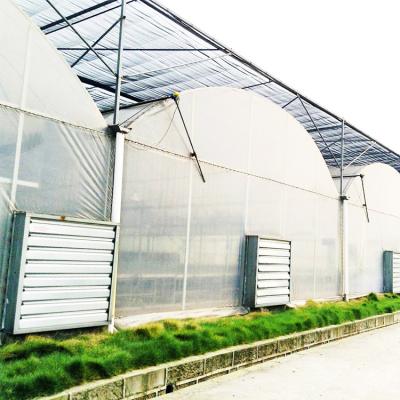 China Negative Fan Cooling System Plastic Film Greenhouse Shading Multi Span Automatic for sale