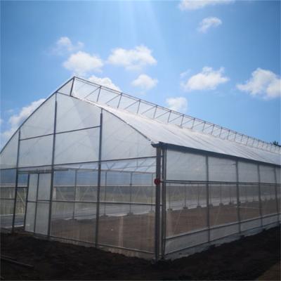 China Tropical Ventilation System Sawtooth Single Span Greenhouse For Vegetables Growing for sale
