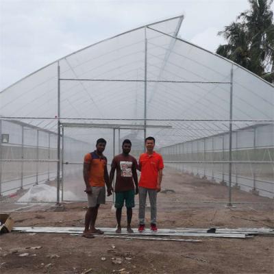China Tropical Top Cross Vent Agricultural Sawtooth Greenhouse Plastic Film Covered for sale
