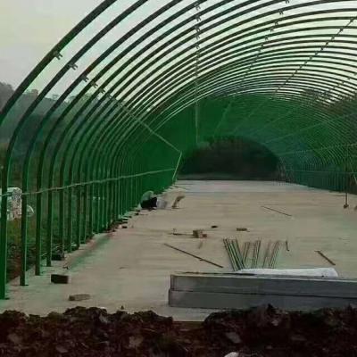 China Chicken Poly Tunnel Greenhouse for Poultry Farm Livestock And Poultry Breeding for sale