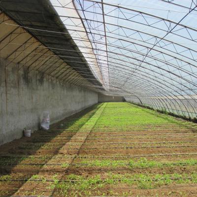 China Winter Plastic Film Tunnel Passive Solar Greenhouse Single Span Heat Preservation for sale