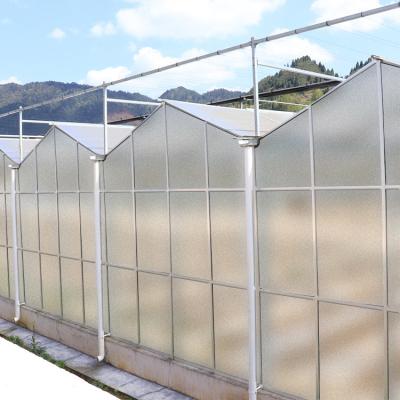 China Agriculture Film Clear Polycarbonate Greenhouse Transparent Square Steel Frame Coating for sale