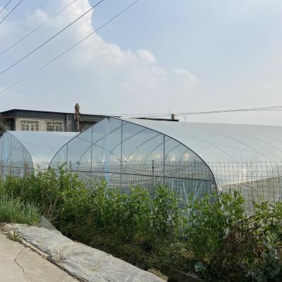 China Clear Plastic  Film Single-span Greenhouse For Agriculture Stable Structure Frame for sale