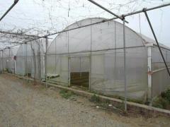 Hydroponic Tunnel Plastic Greenhouse System Steel Frame Arch