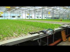 Glass Venlo Type Greenhousee Climate Control Fully Automated