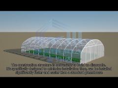 PE Film Agriculture Single Span Greenhouse Model Show Video