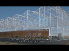 Agriculture Farming Glass Venlo Type Greenhouse Model Show Video
