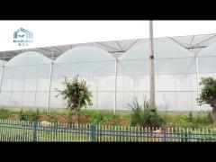 0.2mm film Standard Multi Span Greenhouse for Vegetable Fruits Flowers