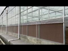 Clear Plastic Grow Tunnel / Agriculture Farm Plastic Tunnel Greenhouse