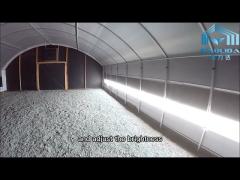 PE Film Poly Cover Single Span Light Deprivation Greenhouse Aluminum Zinc Plating
