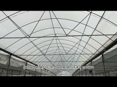 Galvanized Steel Pipe Arch Roof Type Plastic Film Greenhouse With Hydroponics System