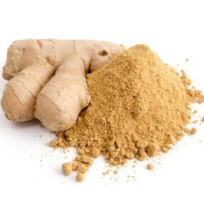 China Air Dried Dehydrated Ginger Extract Powder 100 - 120 Mesh for sale