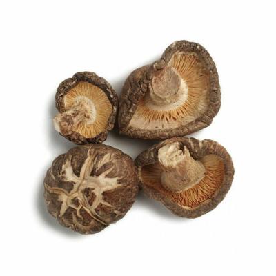 China Dehydrated Dried Shiitake Mushrooms 4-5CM Cap For Restaurant for sale