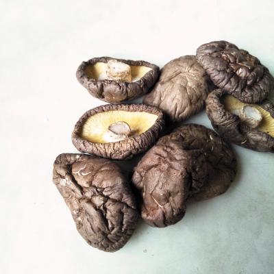 China Brown Color Dried Shiitake Mushrooms For Culinary 1 Year Shelf Life en venta