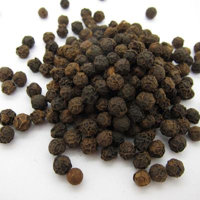 China Dried Spices And Herbs Black Pepper 25kg/Bag 550GL Black Peppercorn for sale