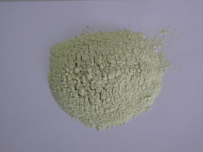 Κίνα Καθαρή σκόνη Wasabi ύφους Janpanese, πικάντικη καυτή γεύση σκονών χρένου Wasabi προς πώληση