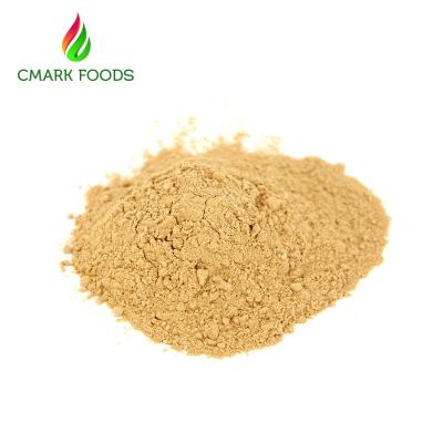 Chine Poudre organique séchée à l'air de racine de gingembre, certification de FDA de poudre de gingembre à vendre