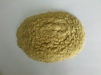 Chine Pureté de poudre sèche organique de gingembre de 100 mailles grande avec l'humidité maximum de 8% à vendre