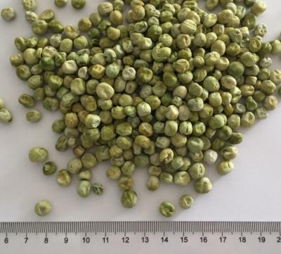China Categoría alimenticia secada natural pura de las habas verdes del jardín de verduras secadas del aire del 100% en venta