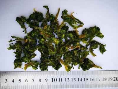China Embalagem máxima secada natural da caixa da umidade dos brócolis 10*10mm 8% da cor verde à venda