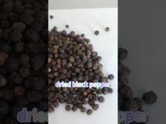 Dried Spices And Herbs Cheap Black Pepper 550GL Black Peppercorn