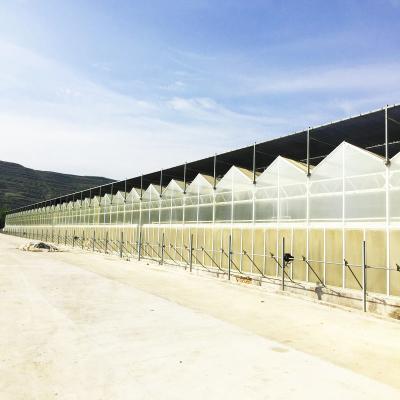China 90 Percent Uv Treated Agro Shade Net For Agriculture Vegetable for sale
