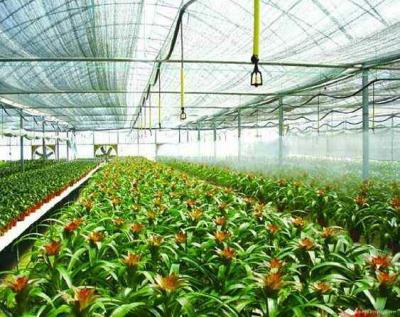 China Agri Agro Shade Net 80 Percent for sale