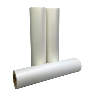 China Heat Transfer Dtf Transfer Paper Sheets ANDEMES Direct Cold Transfer 60cm Roll Film for sale